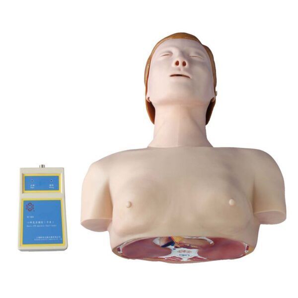 Yarım Vücut Temel CPR Eğitim Mankeni